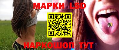 амф Гусь-Хрустальный